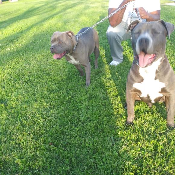 Meet your Posher, Felix - Picture 1 of 1